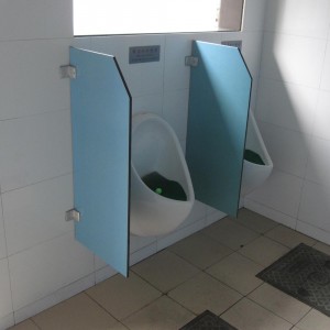 Interior Chinese Public Toilet