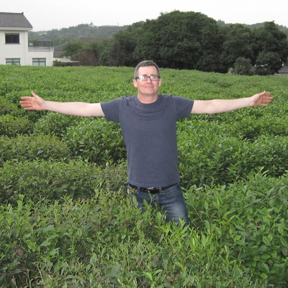 norman_tea_bushes_hangzhou_1000.jpg